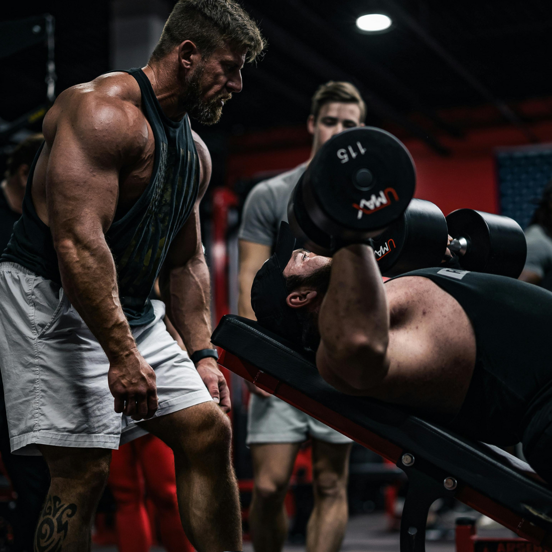 Why a Workout Bench is the Perfect Addition to Your Home Gym