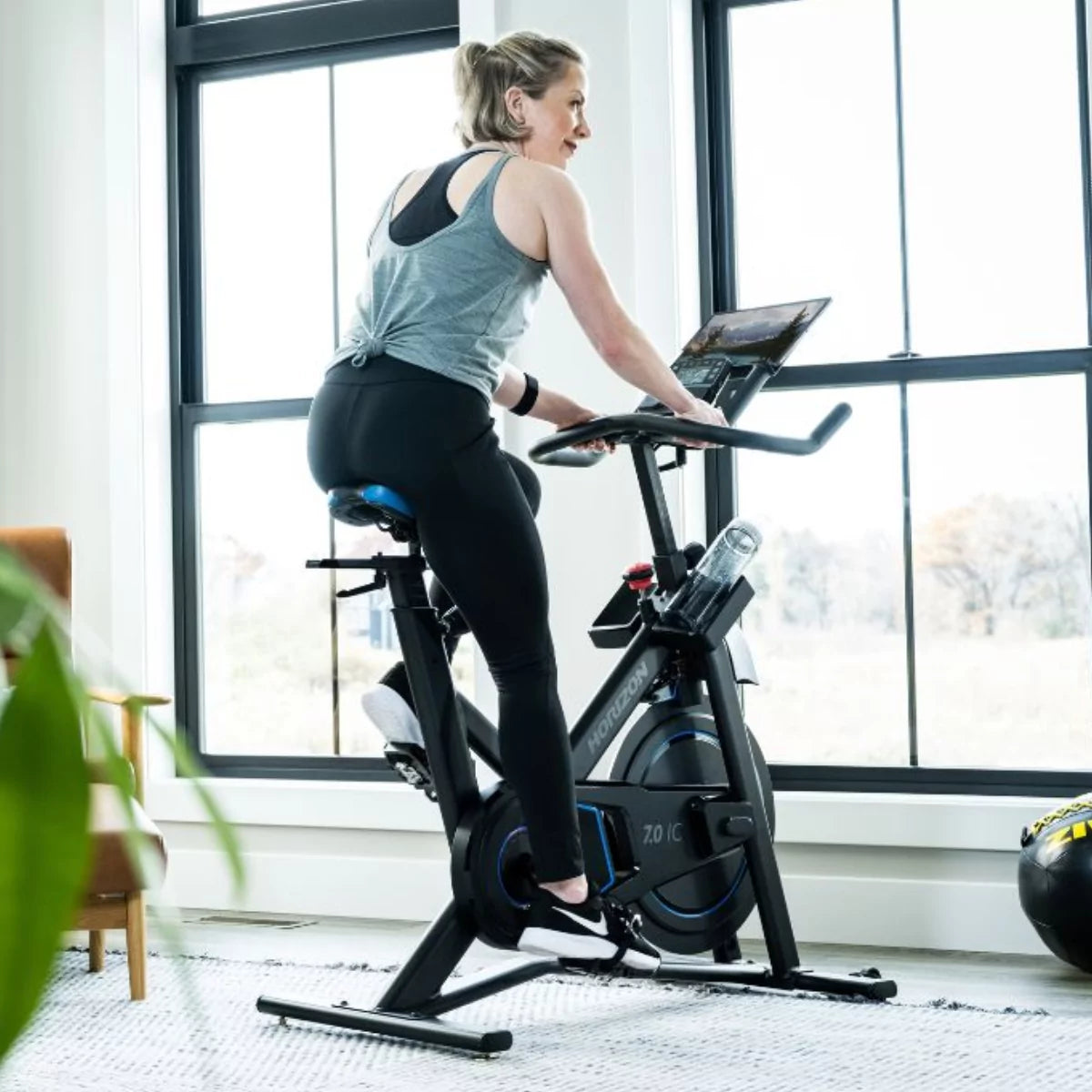 Horizon 7.0 IC Indoor Cycle