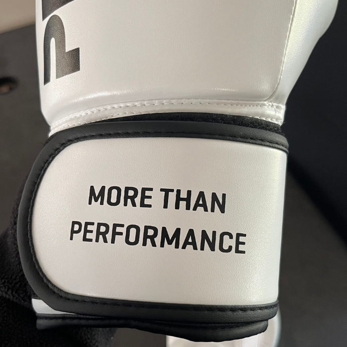Primiz 12oz Boxing Gloves | Training, Bag & Pad Gloves