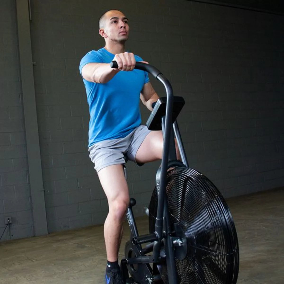 Endurance Commercial Air Bike