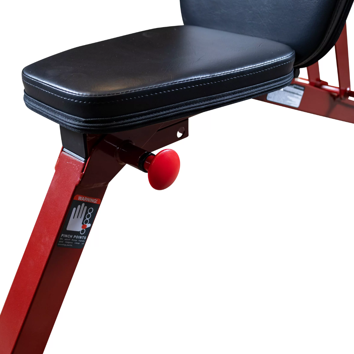 Best Fitness Workout Bench