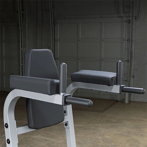 Body-Solid Knee Raise and Dip Station