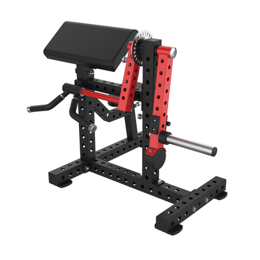 Commercial Dual Bicep / Tricep Machine