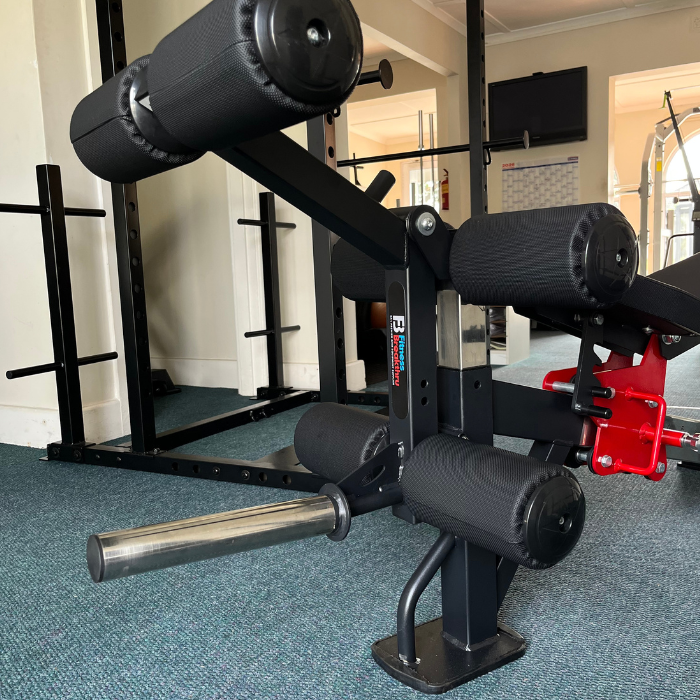 PRO Series Adjustable Weight Bench with Leg Developer