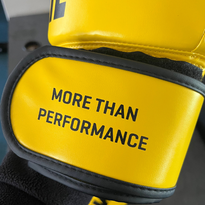 Primiz 14oz Boxing Gloves | Training, Bag & Pad Gloves