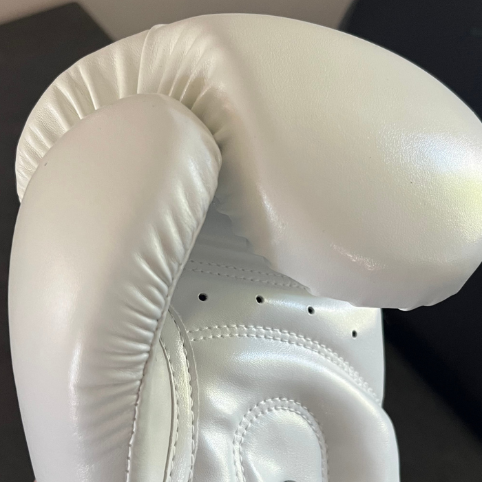 Primiz 12oz Boxing Gloves | Training, Bag & Pad Gloves
