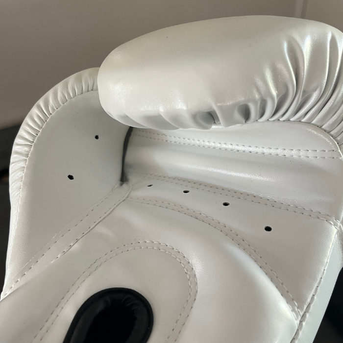 Primiz 12oz Boxing Gloves | Training, Bag & Pad Gloves