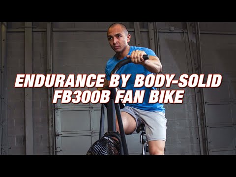 Endurance Commercial Air Bike